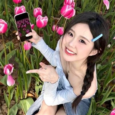 哈莉·奎茵第四季